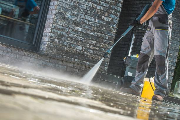 Animal Enclosure Cleaning in Coram, NY